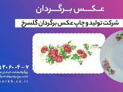 عکس برگردان